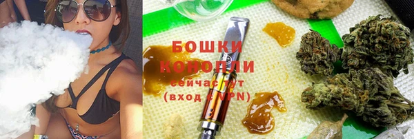spice Аркадак