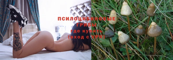 spice Аркадак