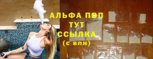 spice Аркадак