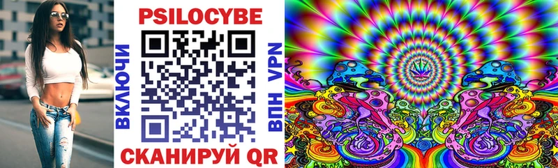 наркотики  OMG вход  Галлюциногенные грибы Cubensis  Новоузенск 